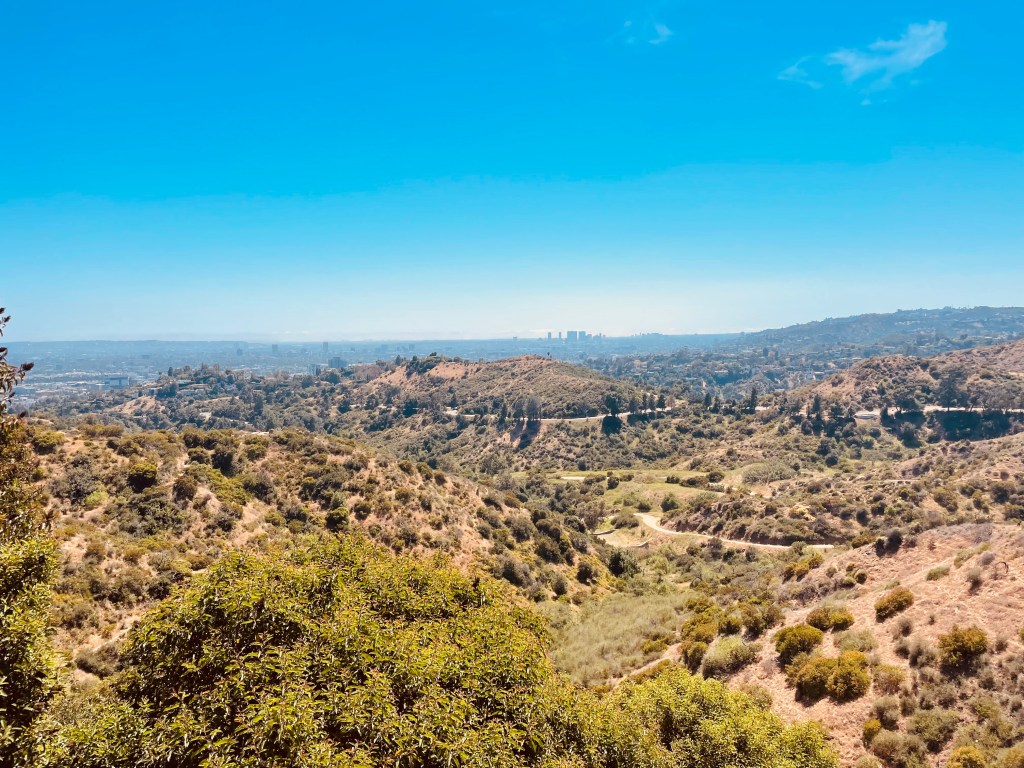 Two weeks as a Memecoin&nbsp;trader